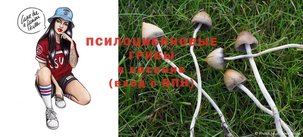 дживик Гусиноозёрск