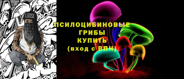 дживик Гусиноозёрск