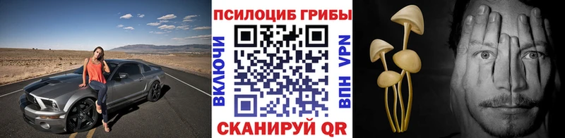 Купить  Касли  Галлюциногенные грибы MAGIC MUSHROOMS 